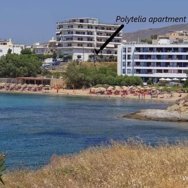 Apartment Polytelia